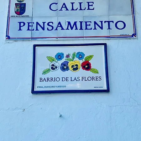 Vivienda Carolina•terraza Privada Y Parking• Conil De La Frontera